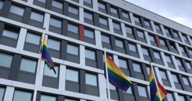 Vor dem Neubrandenburger Rathaus wehen drei Regenbogenflaggen.