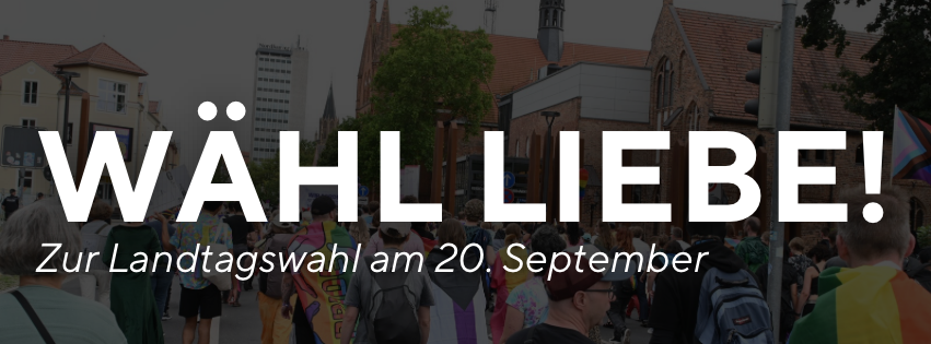 Wähl Liebe queerNB e.V.